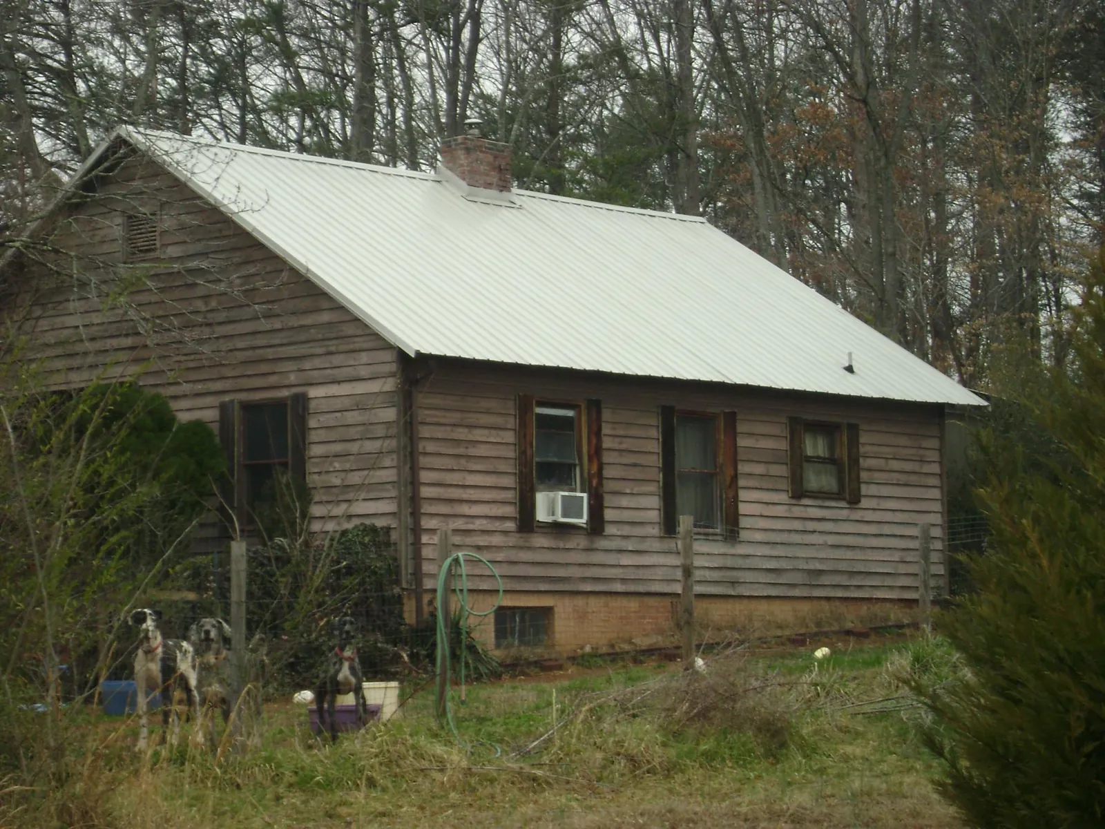 White metal roof on an old wood sided farmhouse, from a Asphalt Shingle Roof Repair job in Pillsbury